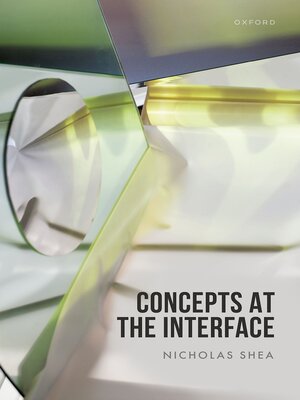 cover image of Concepts at the Interface